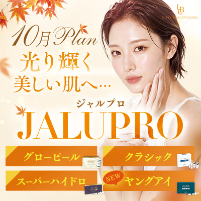 【11月】ジャルプロのご案内